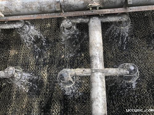冷却塔水藻滋生怎么办(冷却塔水藻用什么清除)
